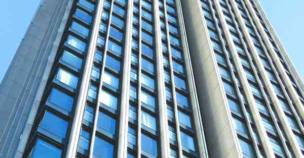 佛跳墙最新版下载v2.